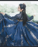 Chinese Hanfu Traditional Dress