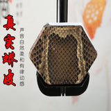 Chinese One String instrument