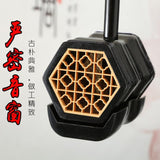 Chinese One String instrument