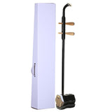 Chinese One String instrument