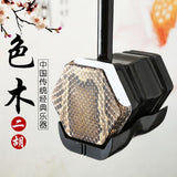 Chinese One String instrument