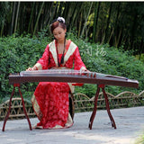 Chinese String Instrument Guzheng
