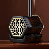 Chinese Two String Instrument