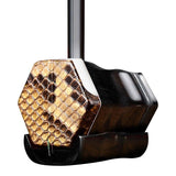 Chinese Two String Instrument