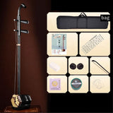 Chinese Two String Instrument