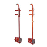 Chinese Violin Instrument