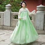 Fairy Tang Dynasty Hanfu