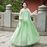 Fairy Tang Dynasty Hanfu