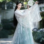 Plus Size Tang Dynasty Hanfu