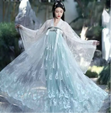 Plus Size Tang Dynasty Hanfu