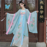 Dynasty Elegant Hanfu