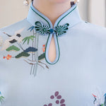 Sky Blue Chinese Dress