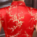 Sleeveless Velvet Chinese Dress