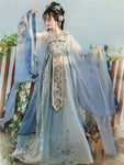 Tang Dynasty Hanfu Dress