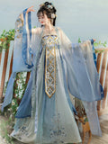 Tang Dynasty Hanfu Dress