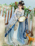 Tang Dynasty Hanfu Dress