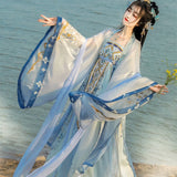 Tang Dynasty Hanfu Dress