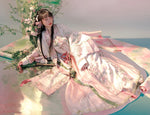 Traditional Women's Hanfu