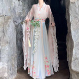 WeiJin Dynasty Hanfu Set