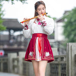 Chinese Hanfu Dress Skirt