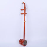 Chinese Violin Instrument