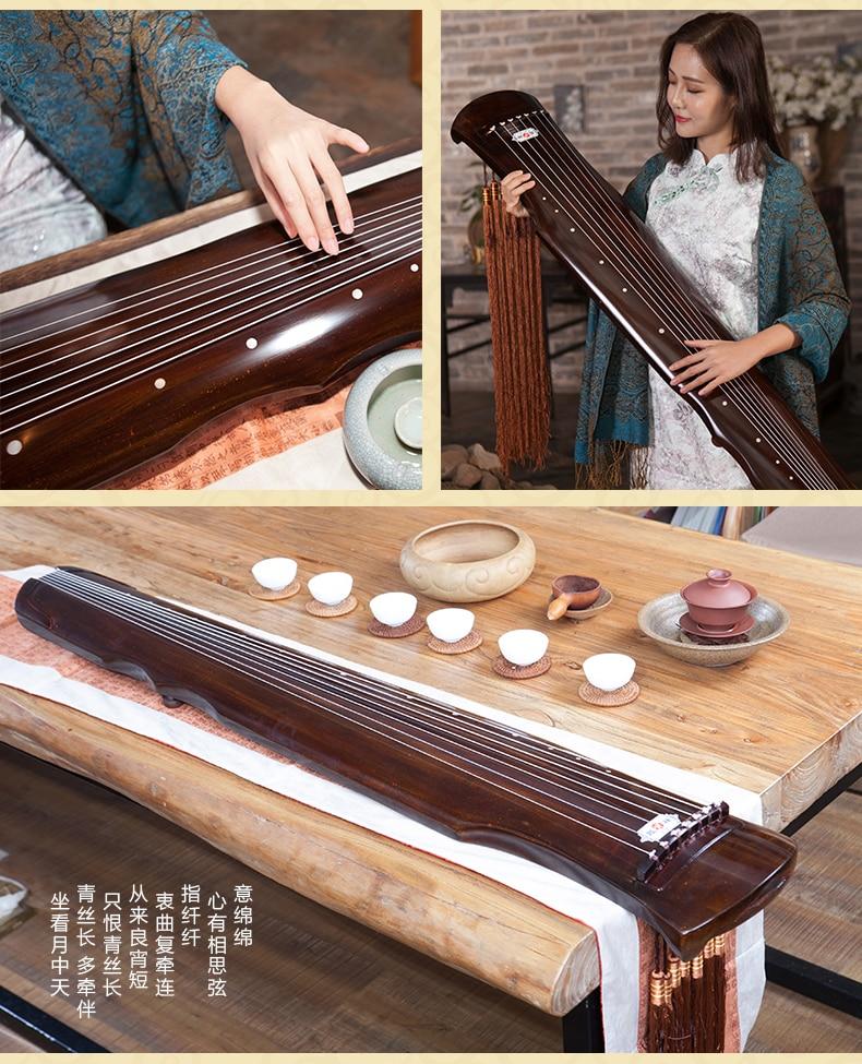 Plucked String Instruments