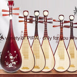 Pipa Chinese Instrument