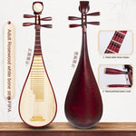 Pipa Chinese Instrument