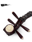 Pipa Chinese String Instrument