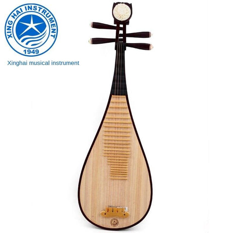 Pipa Chinese String Instrument