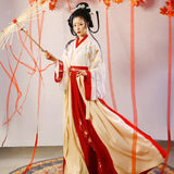 Traditional Hanfu Dress