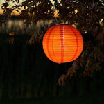 Chinese Paper Lantern Led Lights
